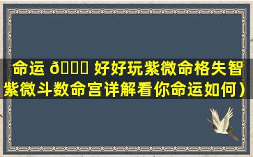 命运 🕊 好好玩紫微命格失智（紫微斗数命宫详解看你命运如何）